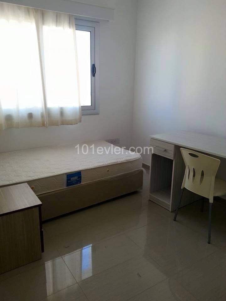 3+1 Wohnungen Zu Vermieten In Famagusta Kaliland Habibe Cetin 05338547005 ** 