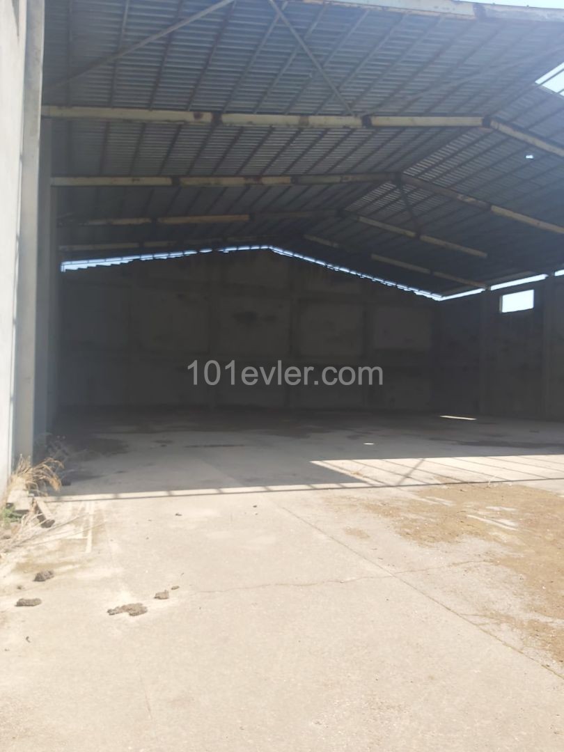 Habibe Çetin 05338547005 Place of Business for Sale in the Large Industrial Area of Famagusta ** 