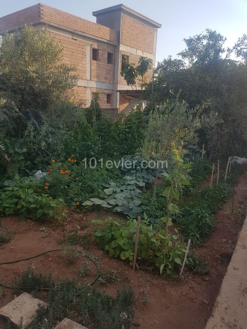 Haus mit Garten zum Verkauf in Famagusta Mormenekshede Habibe Cetin 05338547005 ** 