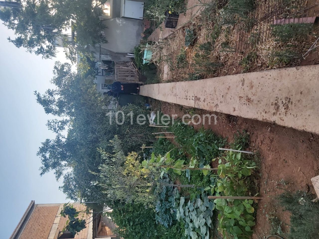 A Detached House with a Garden for sale in Famagusta Mormenekshede Habibe Cetin 05338547005 ** 