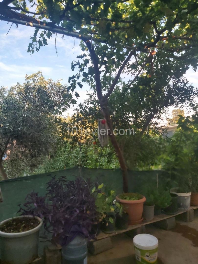 A Detached House with a Garden for sale in Famagusta Mormenekshede Habibe Cetin 05338547005 ** 