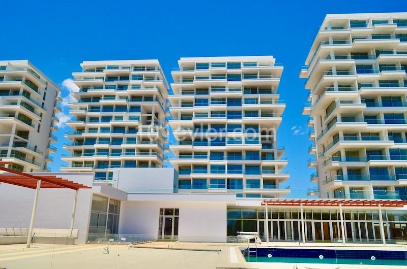 Affordable 1+0 Apartment Near the sea Ready for Delivery at the Pier Habibe Cetin 05338547005 ** 