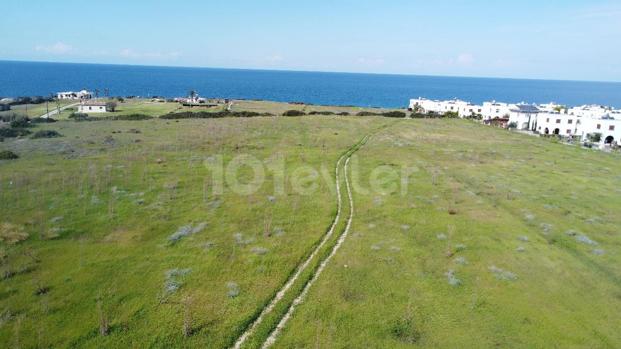 41 Acres of 3 Evlek Land Suitable for Investment in Tatlısu - Küçük Erenköy!