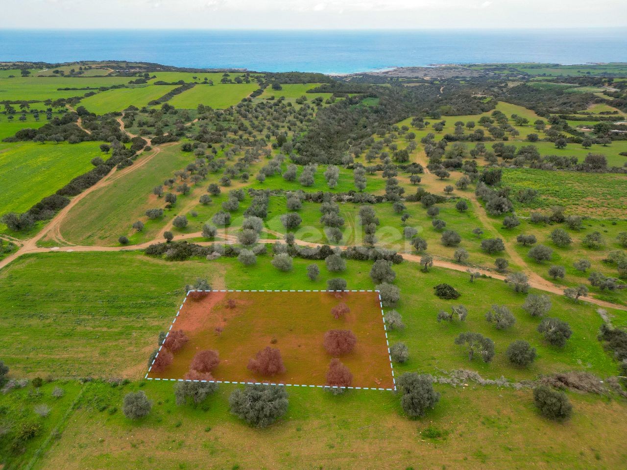 1.291 m² Gelegenheitsland zum Verkauf in Dipkarpaz!