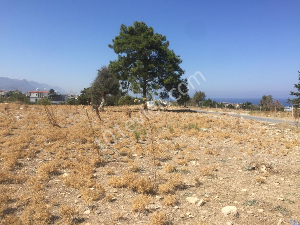 Kıbrıs Girne Yeşiltepede Satılık 5 Dönüm Arazi