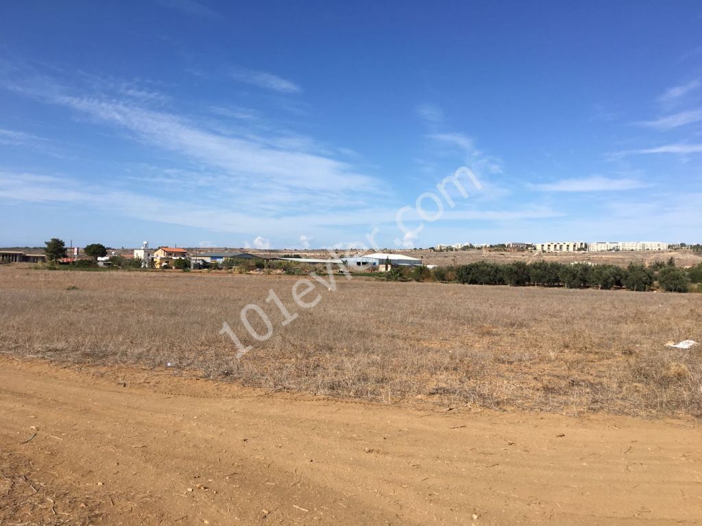 Residential Zoned Plot For Sale in Kalkanlı, Guzelyurt