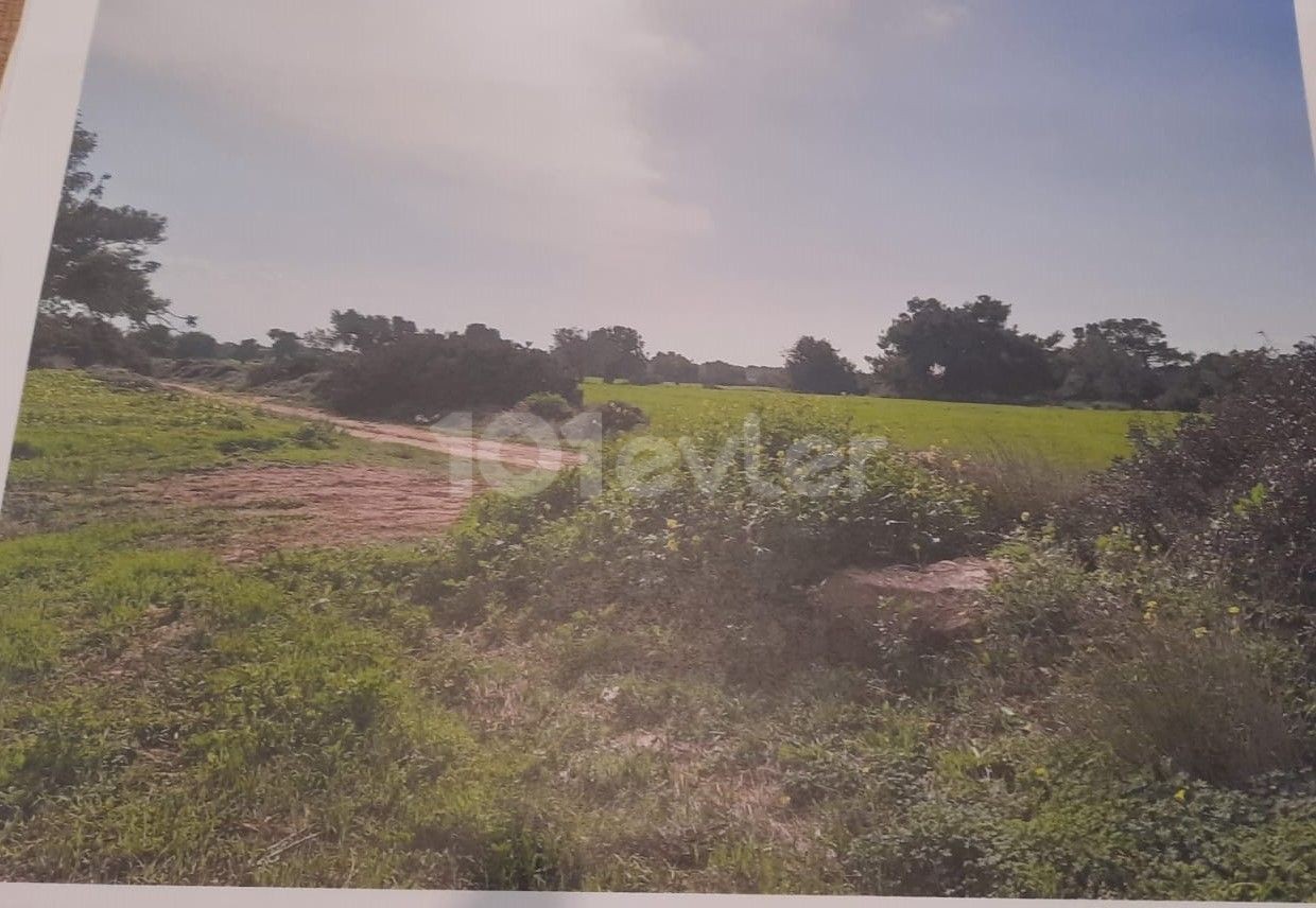 9 and a half acres of land zoned in Derince