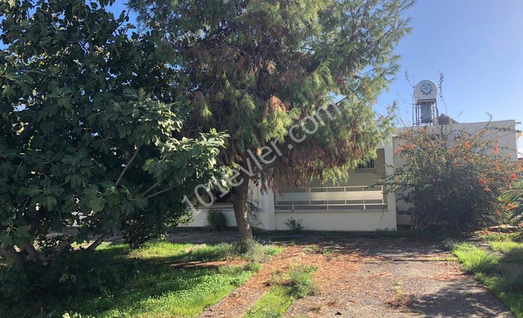 Einfamilienhaus Kaufen in Boğaz, Iskele