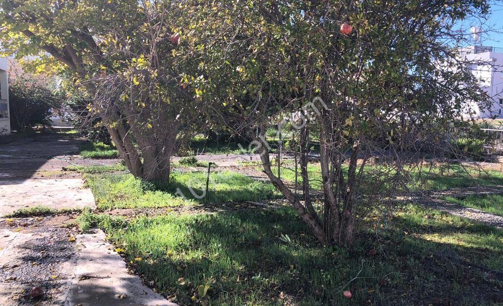 خانه مستقل برای فروش in Boğaz, ایسکله