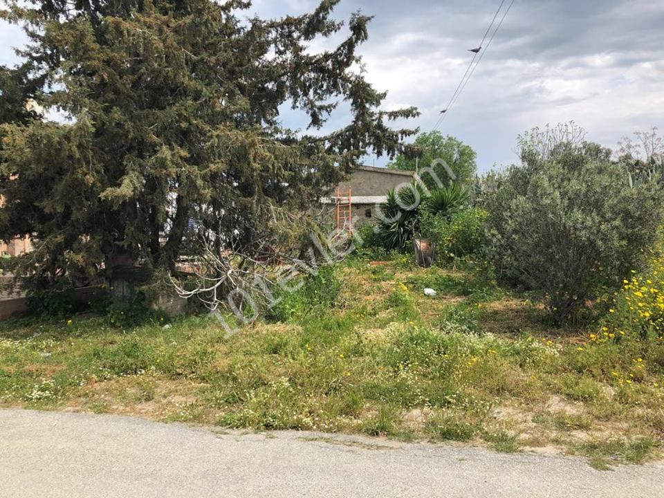 Einfamilienhaus Kaufen in İskele Merkez, Iskele