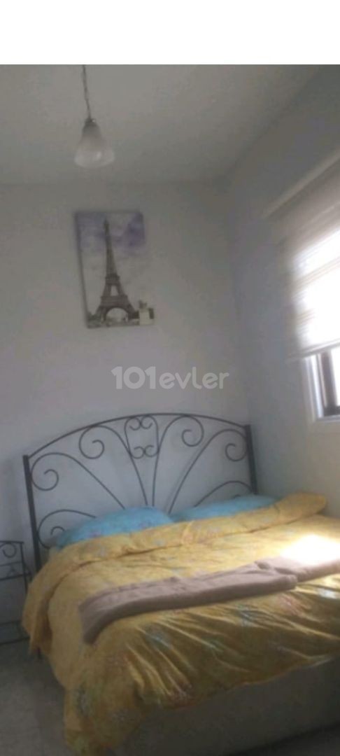 Daily rental Kyrenia center 2+1 apartment 