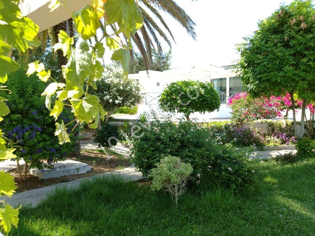 Flat To Rent in Karaoğlanoğlu, Kyrenia