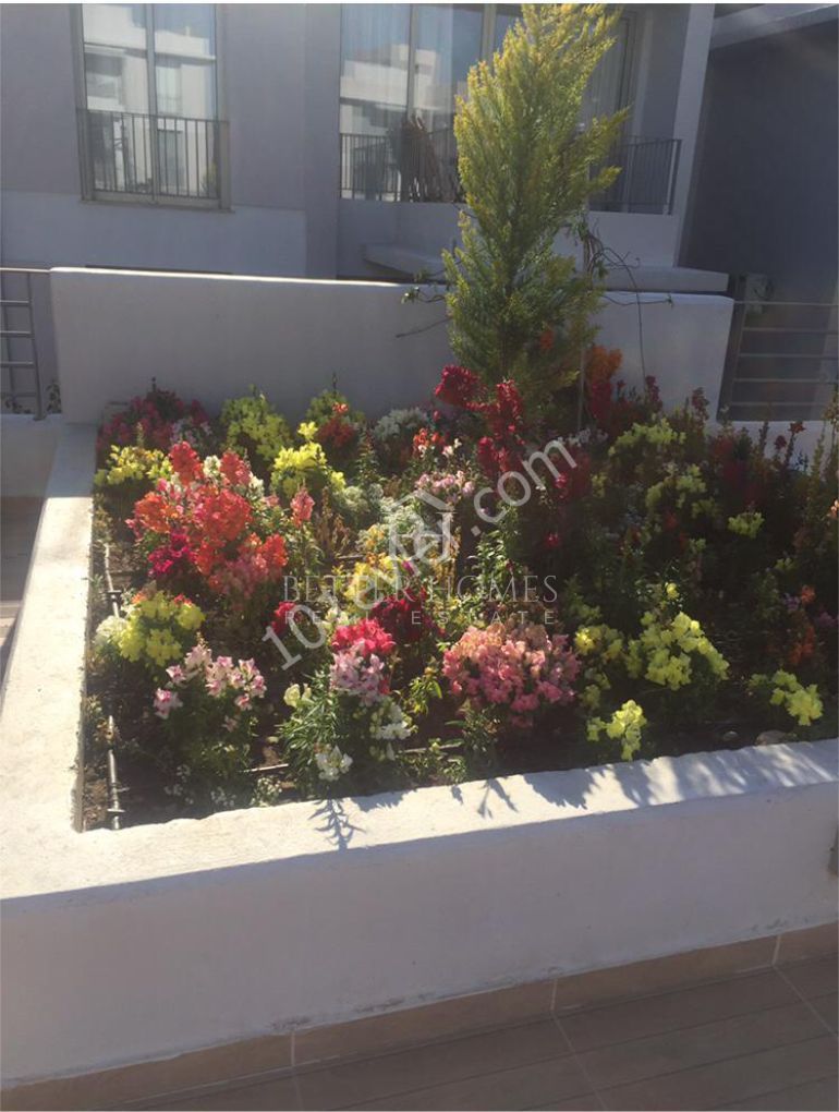 Flat For Sale in Alsancak, Kyrenia