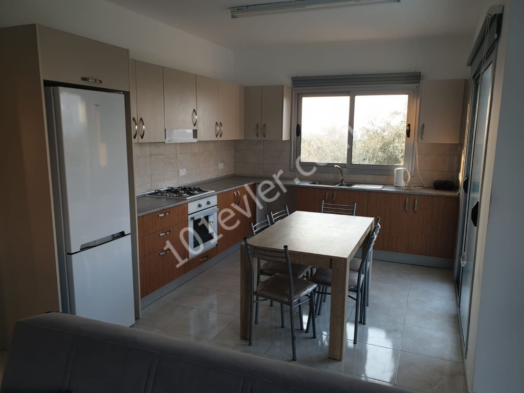 Flat To Rent in Ozanköy, Kyrenia