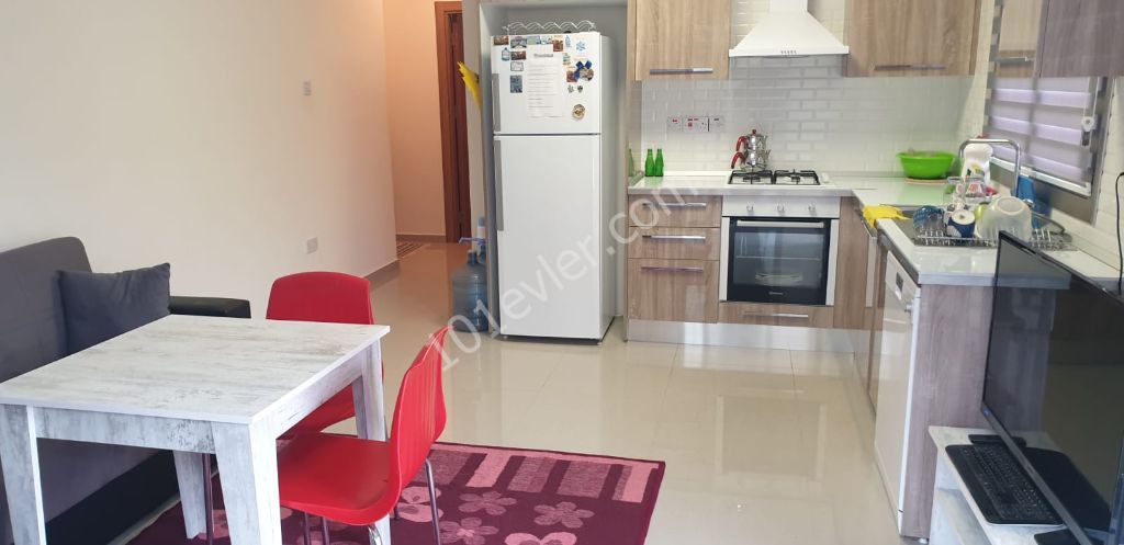 Flat To Rent in Girne Merkez, Kyrenia