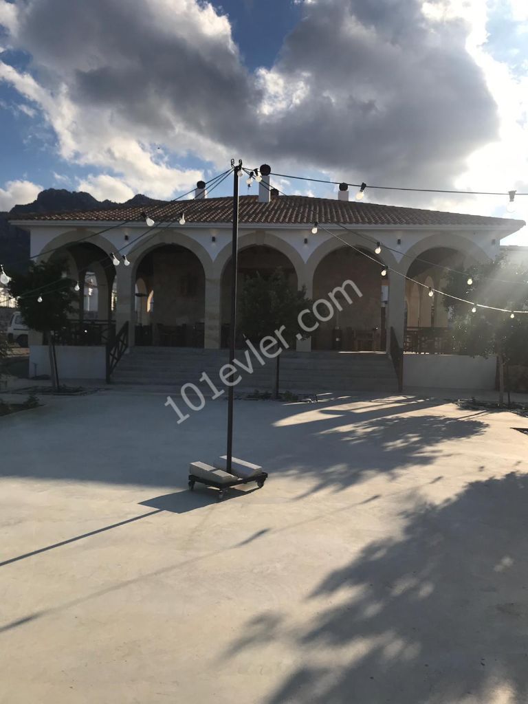 Flat To Rent in Alsancak, Kyrenia