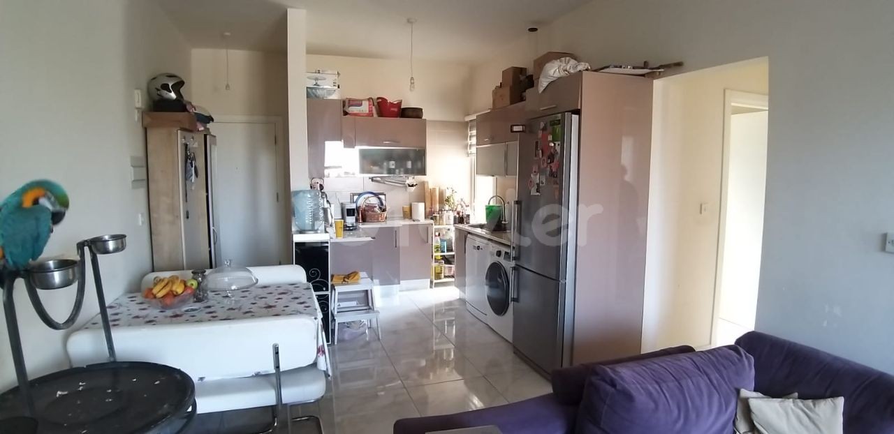 Ground floor 2+1 flat for sale with detached taste in a well-kept complex in Alsancak ** 