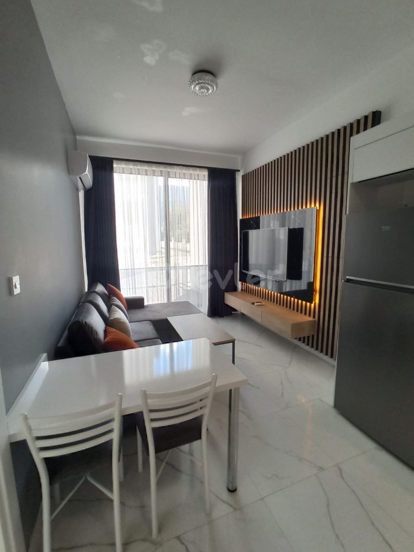 1 ROOM SALON ZERO ULTRA LUXURIOUS FLAT FOR RENT IN KKTC GIRNE ALSANCAK