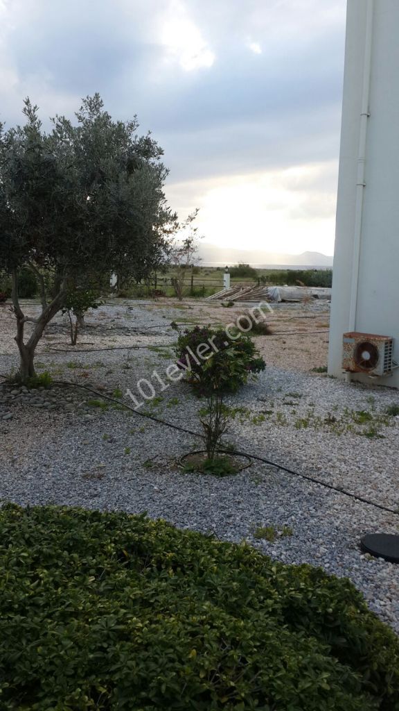 Apartments for Sale in Gaziveren