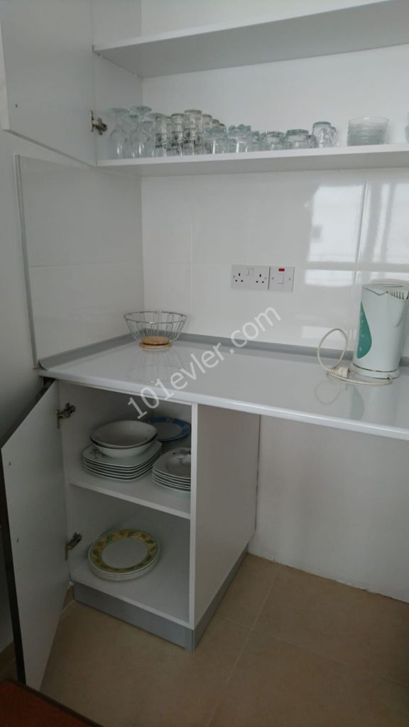 Apartment for Rent in hamitkoy