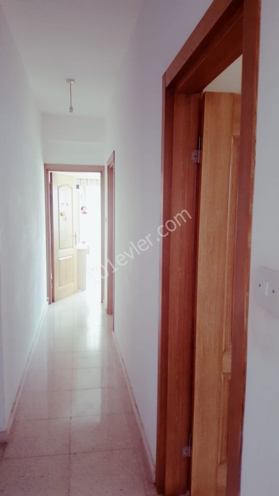 Apartments for rent in Gonyeli