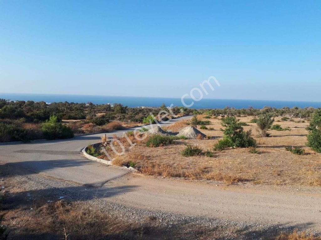 **JUST REDUCED** 14 DÖNÜMS OF LAND WITH PANORAMIC SEA VIEWS - ESENTEPE