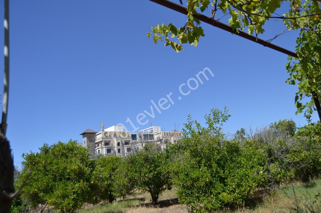 3.5 ACRES OF TURKISH KOCHANLI LAND - INVESTMENT OPPORTUNITY - AS WELL AS THE CRATOS HOTEL (Narchin 0533 820 2055) ** 