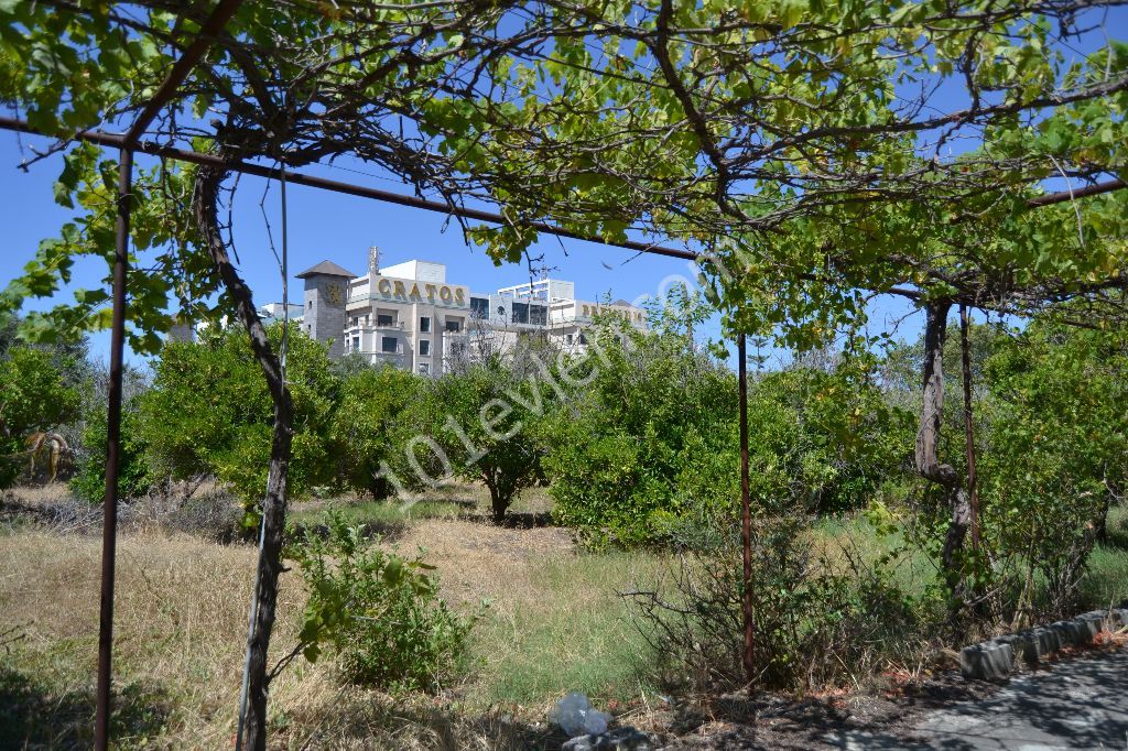 3.5 ACRES OF TURKISH KOCHANLI LAND - INVESTMENT OPPORTUNITY - AS WELL AS THE CRATOS HOTEL (Narchin 0533 820 2055) ** 