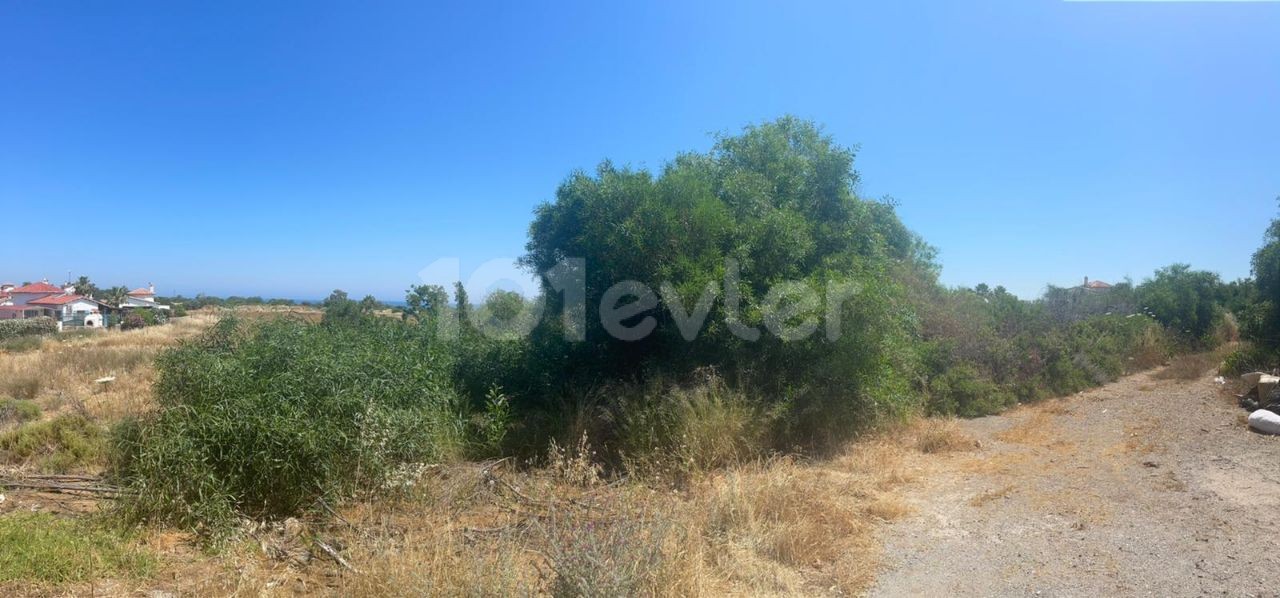 TURKISH TITLE DEED LAND FOR SALE OVER 6 DÖNÜMS