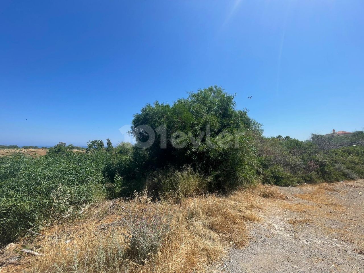 TURKISH TITLE DEED LAND FOR SALE OVER 6 DÖNÜMS