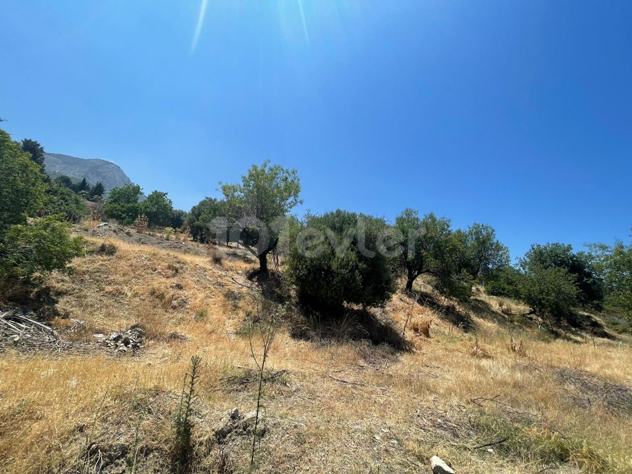 6 Hektar Land zum Verkauf in Kyrenia, Bellapais ** 