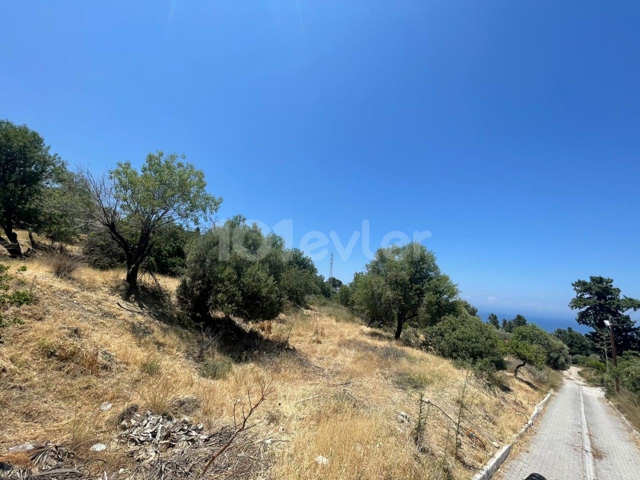 6 Hektar Land zum Verkauf in Kyrenia, Bellapais ** 