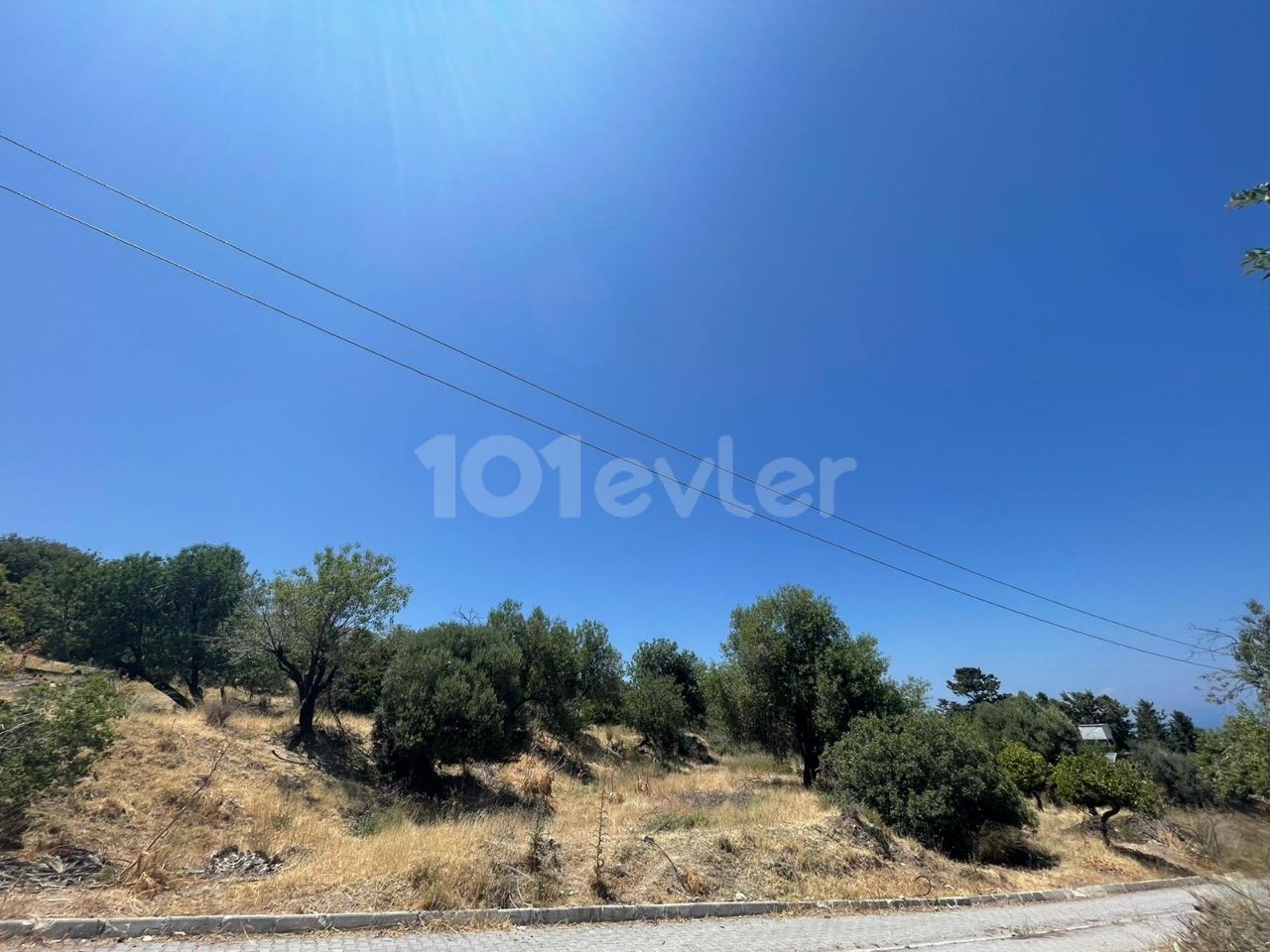 6 Hektar Land zum Verkauf in Kyrenia, Bellapais ** 