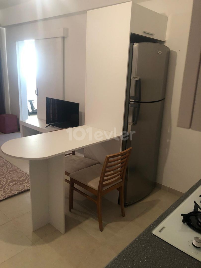 BRAND NEW FULLY FURNISHED APARTMENT FOR RENT