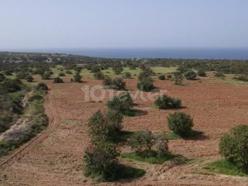 16 acres of 1 evlek land for sale in FAMAGUSA/TATLISU