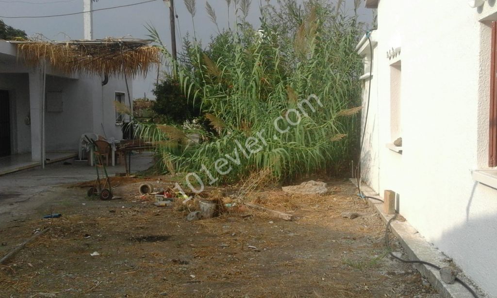 Einfamilienhaus Mieten in Aşağı Bostancı, Guzelyurt