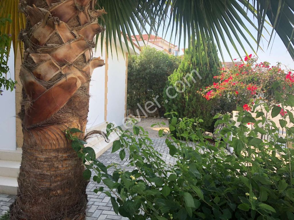 Detached House For Sale in Boğaz, Iskele