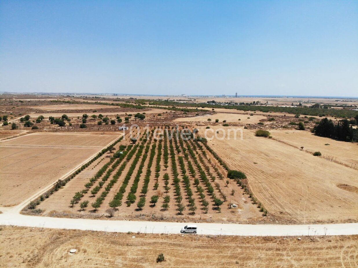 FIRSAT tarım arazisi !! YENİ dükülmüş yolu var.