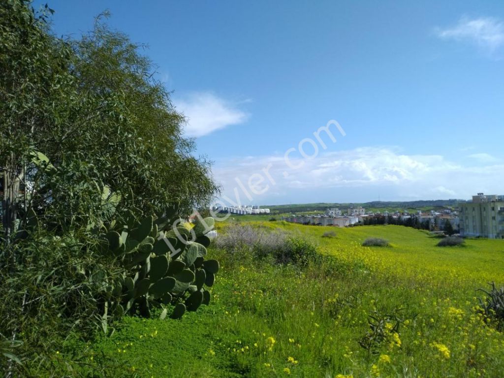 Residential Zoned Plot For Sale in Boğaz, Kyrenia