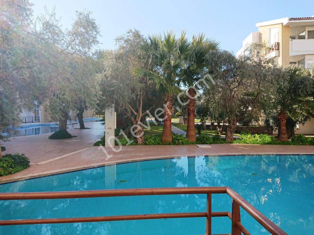 A Large Spacious 1 + 1 Apartment Furnished with QUALITY Goods is for Rent on a Prestigious Site with a Pool ** 