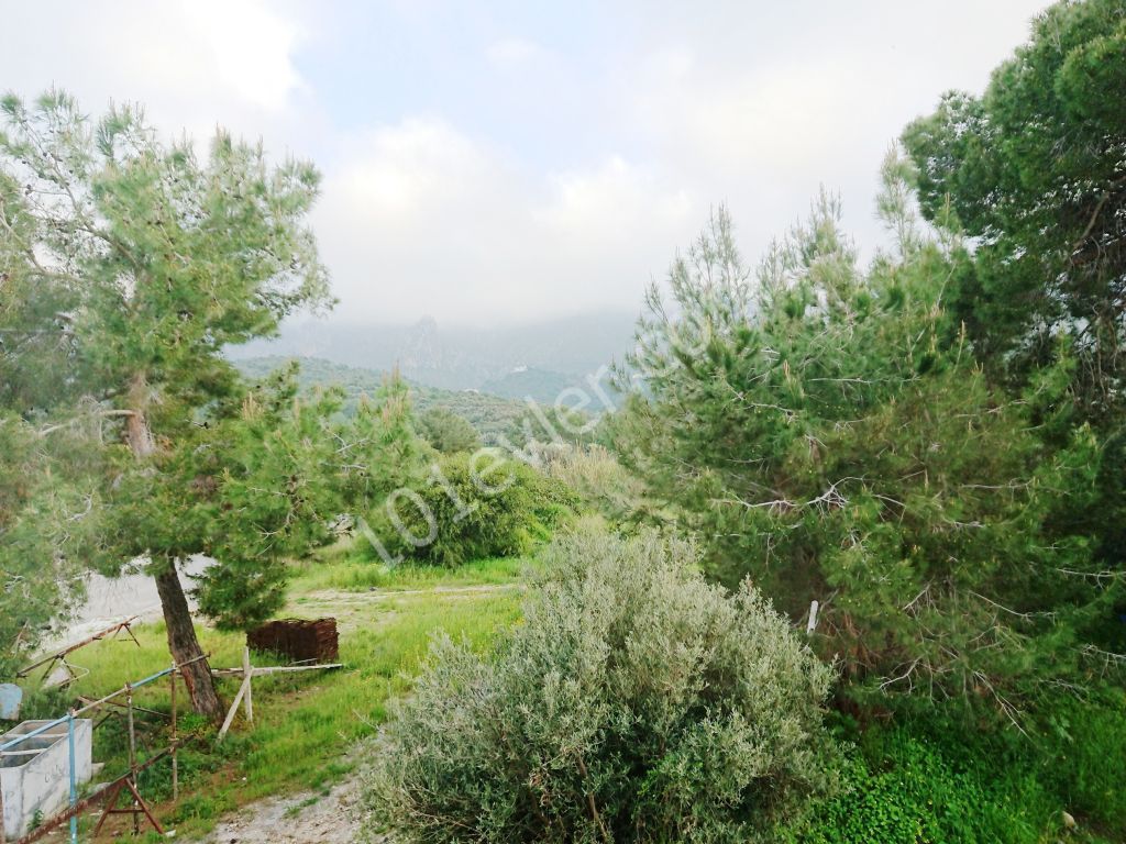 Villa For Sale in Edremit, Kyrenia