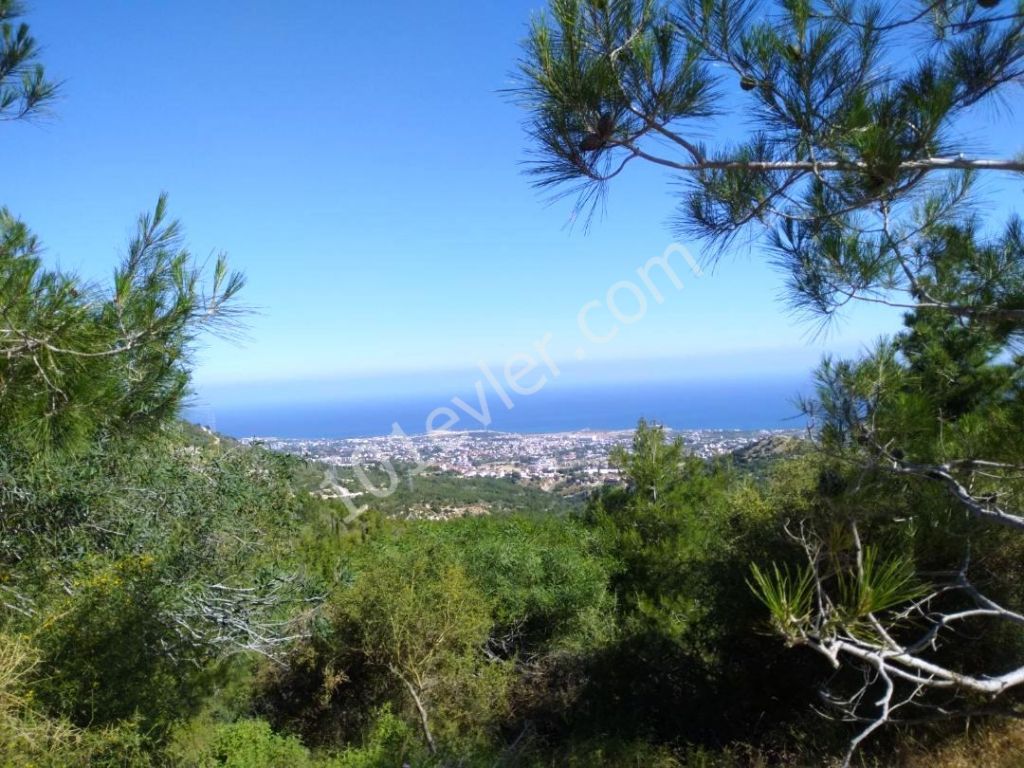 Residential Zoned Plot For Sale in Çatalköy, Kyrenia