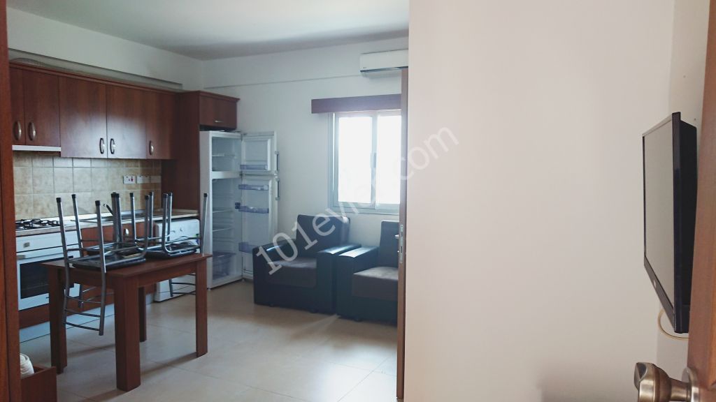 Girne-Boğaz'da Kiralık 1+1  ve Stüdyo Daireler! 