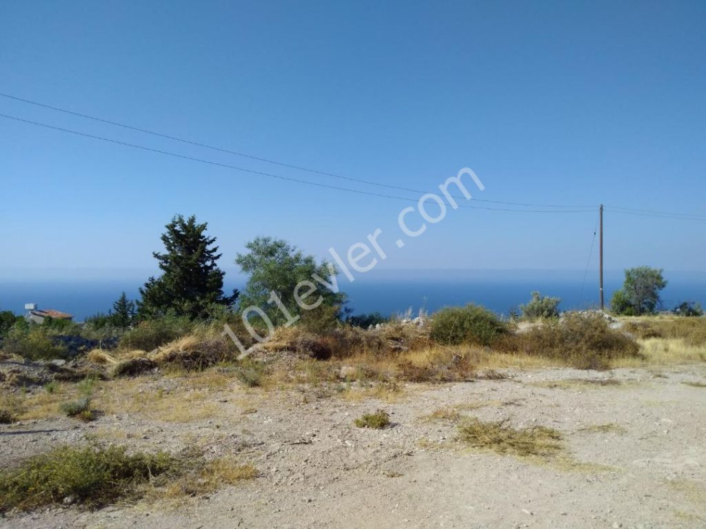 Residential Zoned Plot For Sale in Lapta, Kyrenia