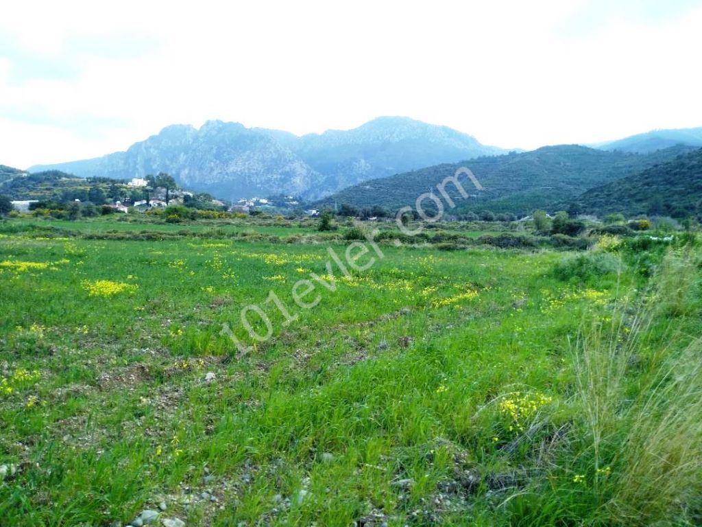 Residential Zoned Plot For Sale in Alsancak, Kyrenia