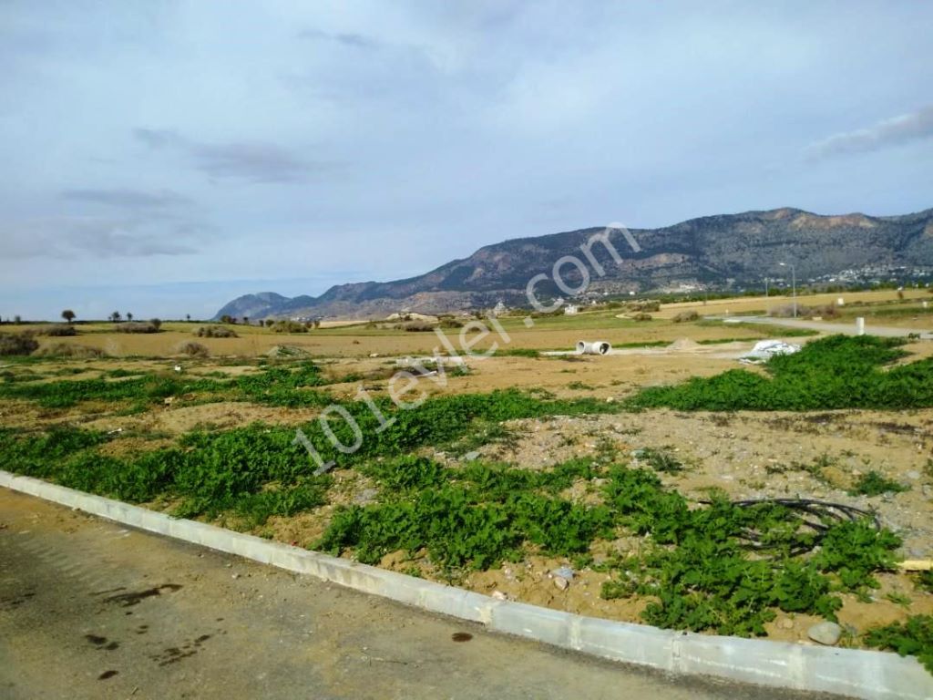 Girne Boğazda  arsa, inanılmaz bir fiyat: 42,000 Stg, her türlü alt yapısı hazır, gelişen bölgede bu fiyata son arsa