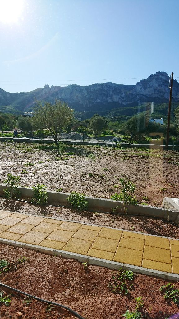 Zeytinlik-Girne 'de Ortak Havuzlu Sitede Zemin Kat Büyük Teraslı LÜKS EkstraFull Eşyalı Kiralık daireler! 