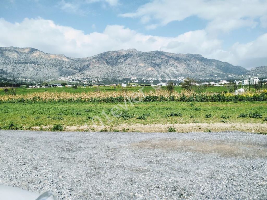 A Turkish-made decommissioned plot of land in the Kyrenia Bosphorus, 1775 m2, the infrastructure is ready, transportation is easy, the view is superb... ** 