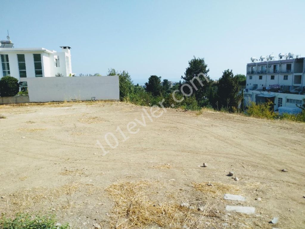 The equivalent plot of 362 square meters at a distance of 250 meters from the main road in Çatalköy, even the sea mansara from the ground, the price is 75,000 decg ** 