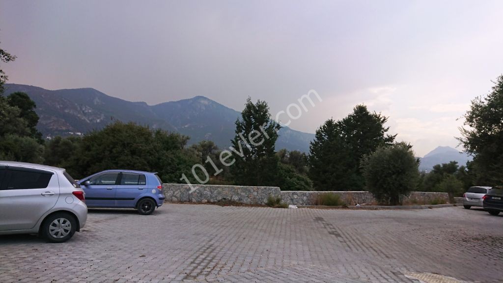 1+ 1 TURKISH TITLE DEED Apartment FOR SALE in Ozankoy with a Ground Floor Garden with Mountain and Sea Views! ** 